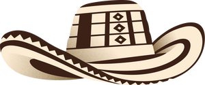 Vallenato Hat
